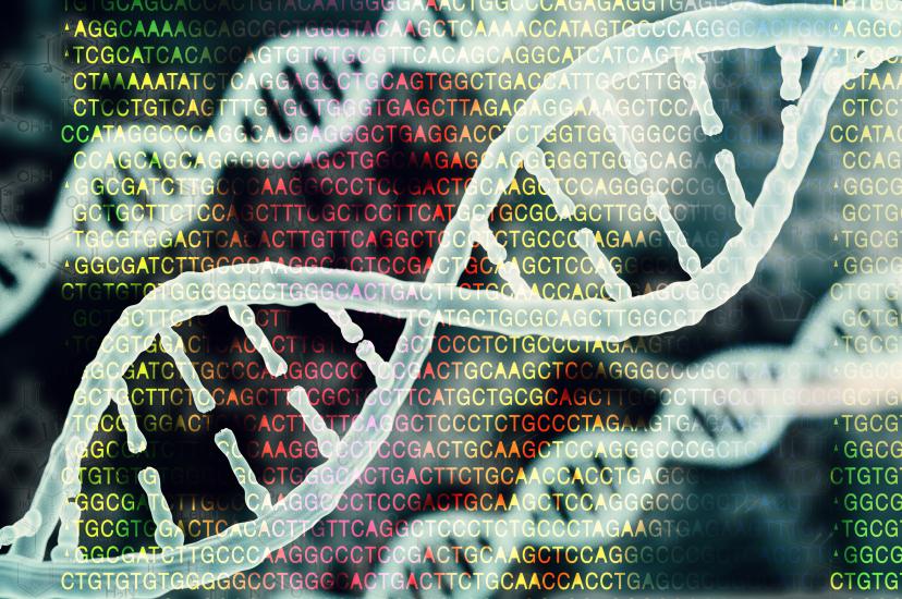 Bioinformatics research