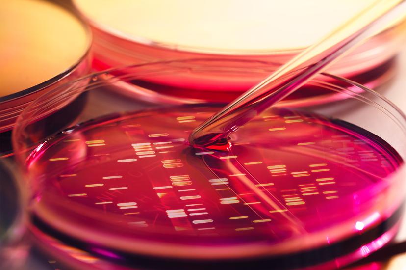 Laboratory data visualisation 