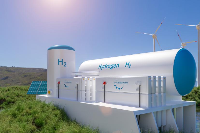 Hydrogen fuel cell