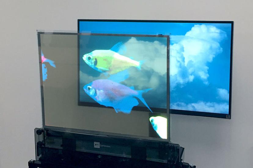 transparent AMOLED display