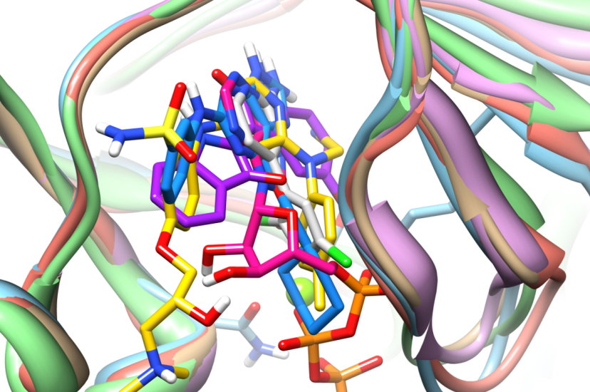 Ligand docking 