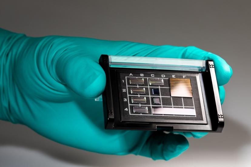 Photonic chips