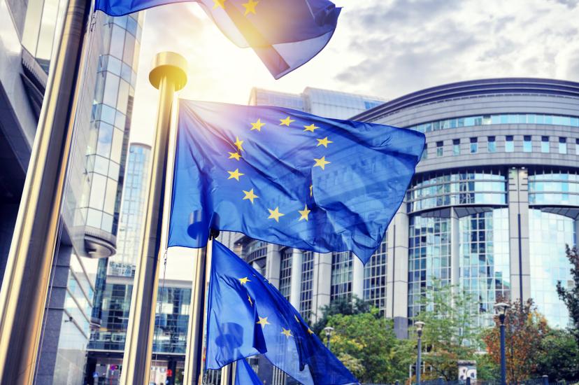 European flag 