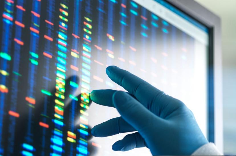 The programme is intended to lay the groundwork for future advances in life sciences by supporting early-stage tools, methods and collaborations.