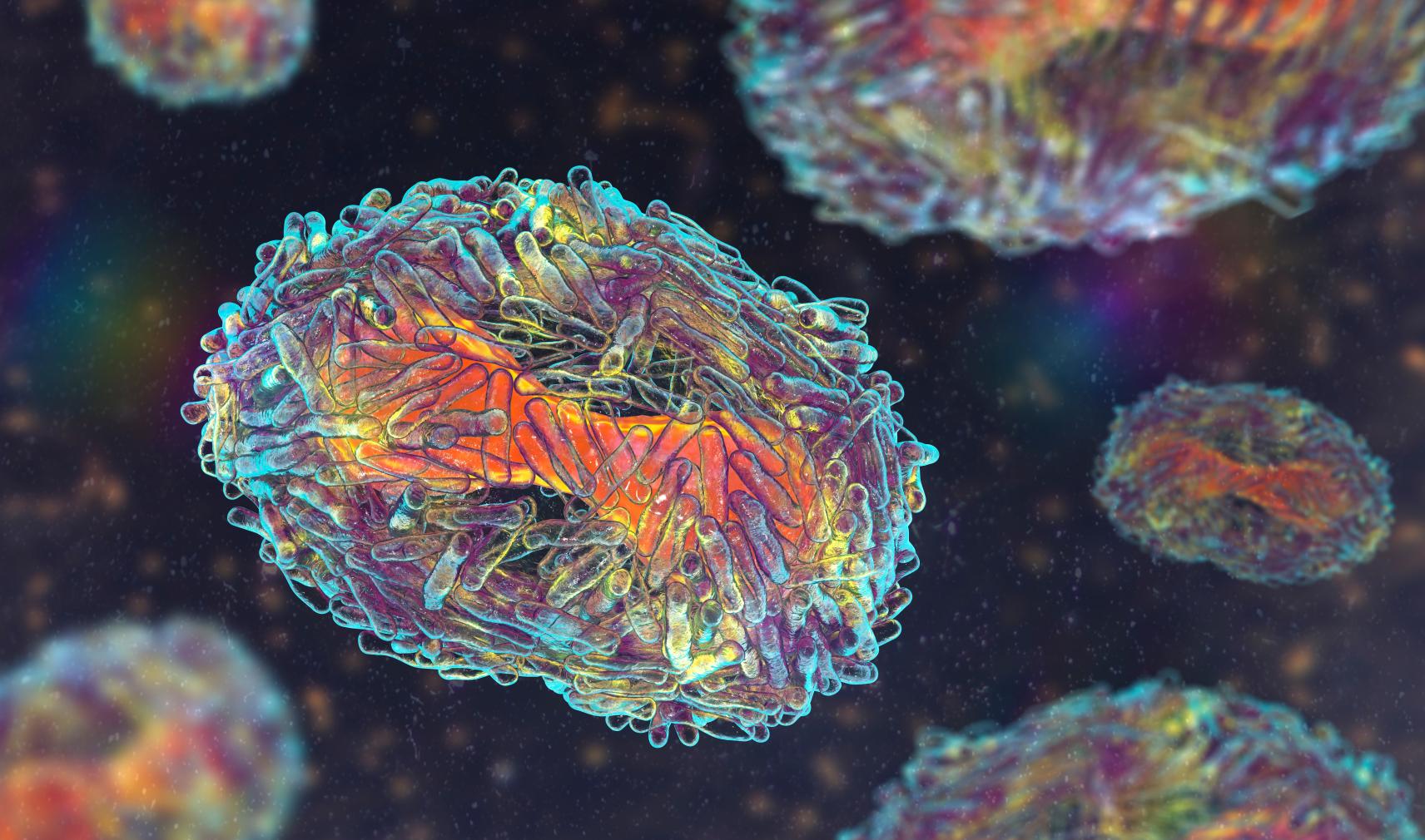 Bioscience - monkey pox virus
