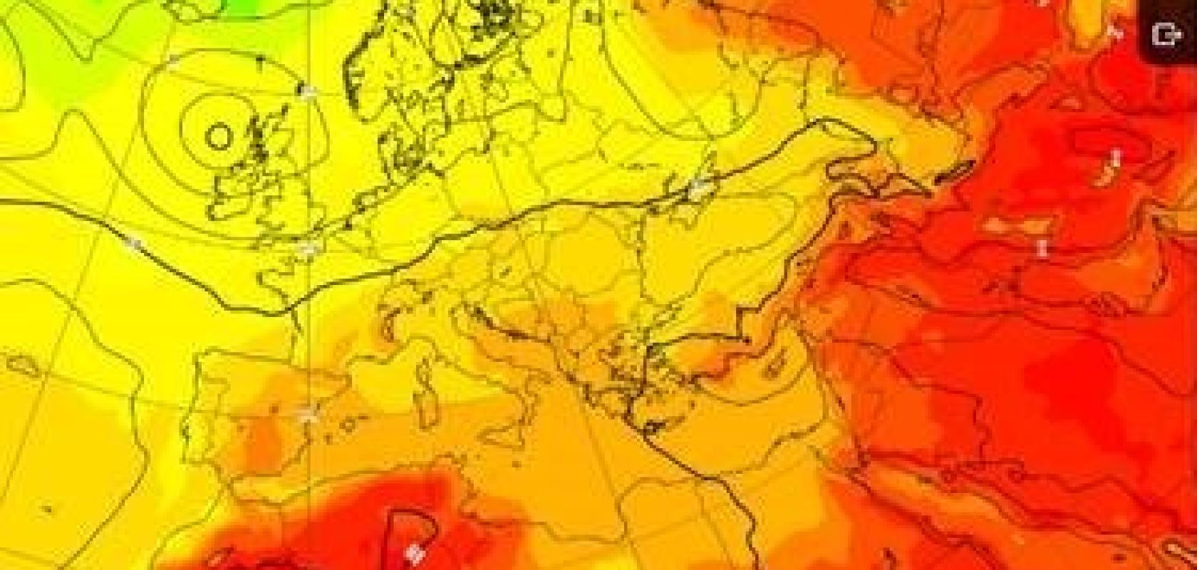 ECMWF website showing weather forecasts made by Pangu-Weather