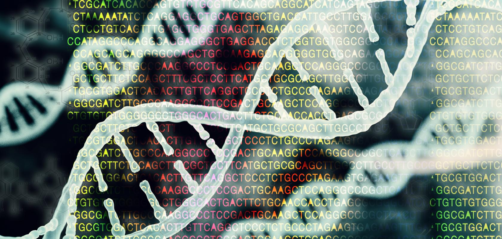 Bioinformatics research