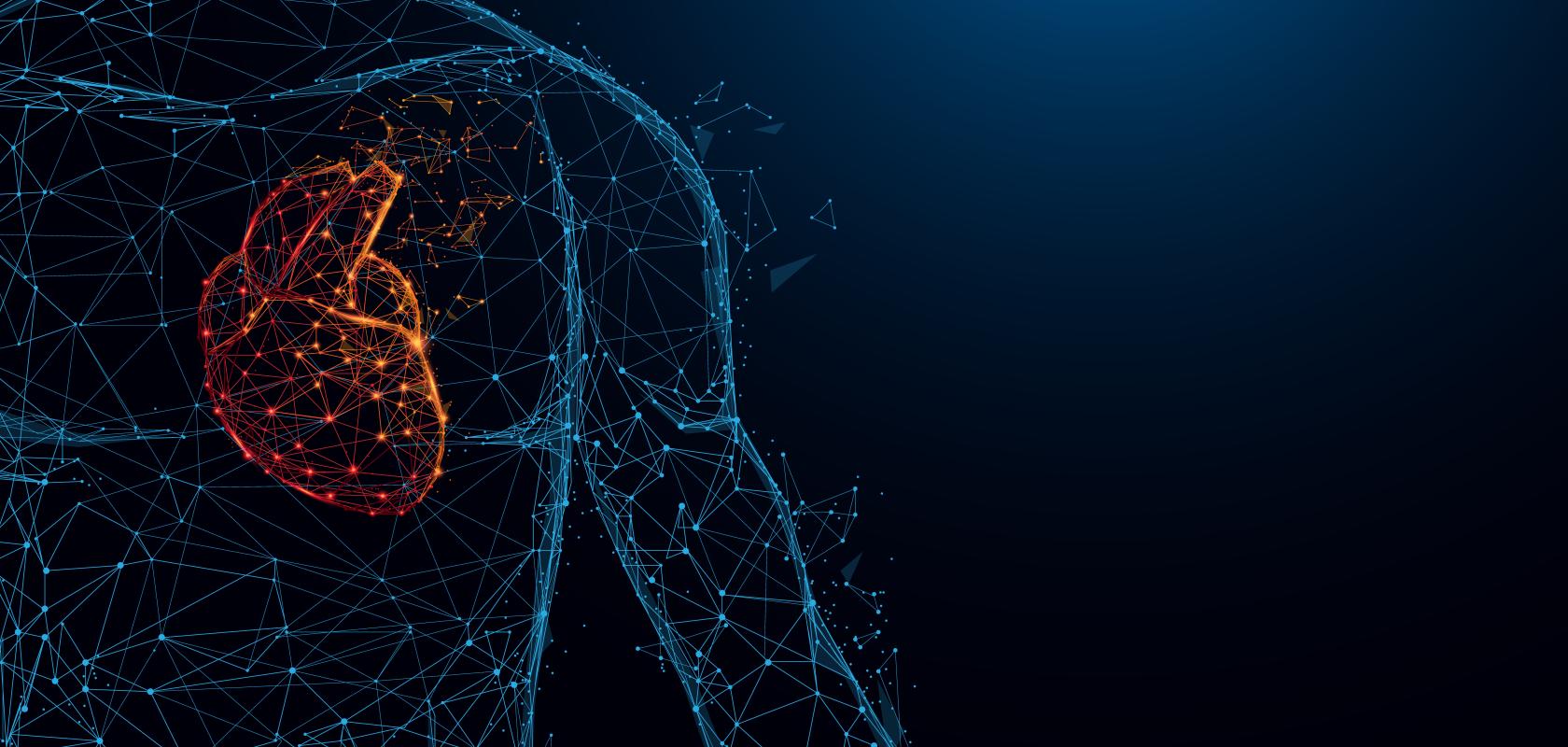 Heart visualisation tools using AI