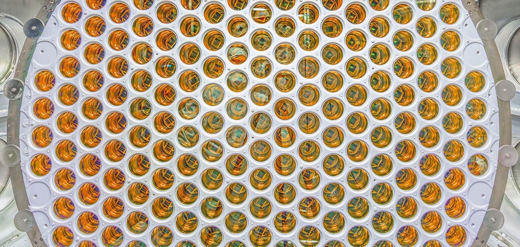 Photomultiplier tubes inside the LZ detector are designed to capture faint flashes of UV light that could signal a dark matter interaction. 