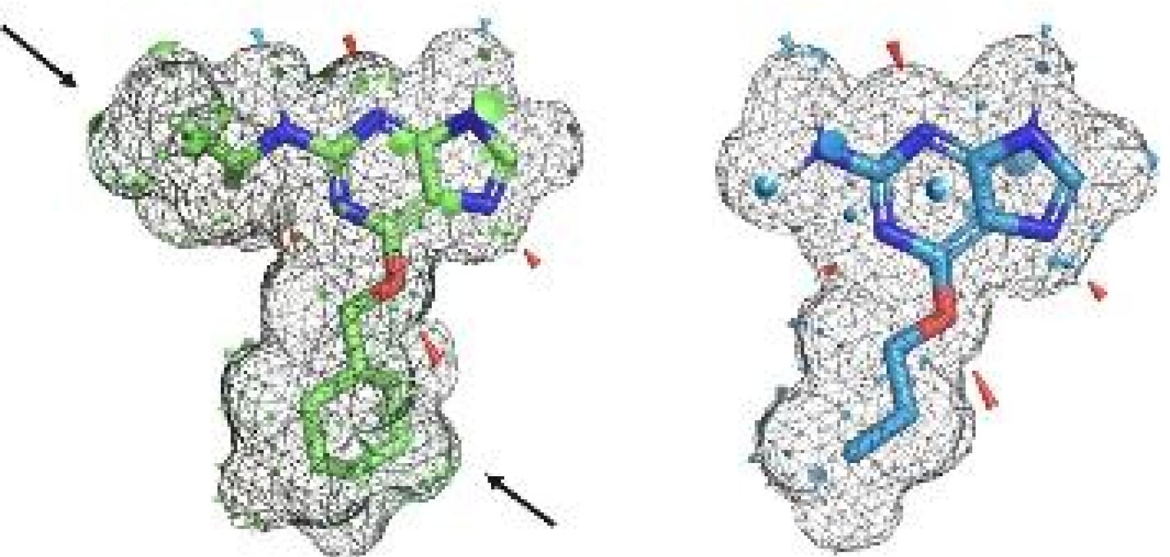 An example of the visual output provided by the new QuanSA PyMOL plugin